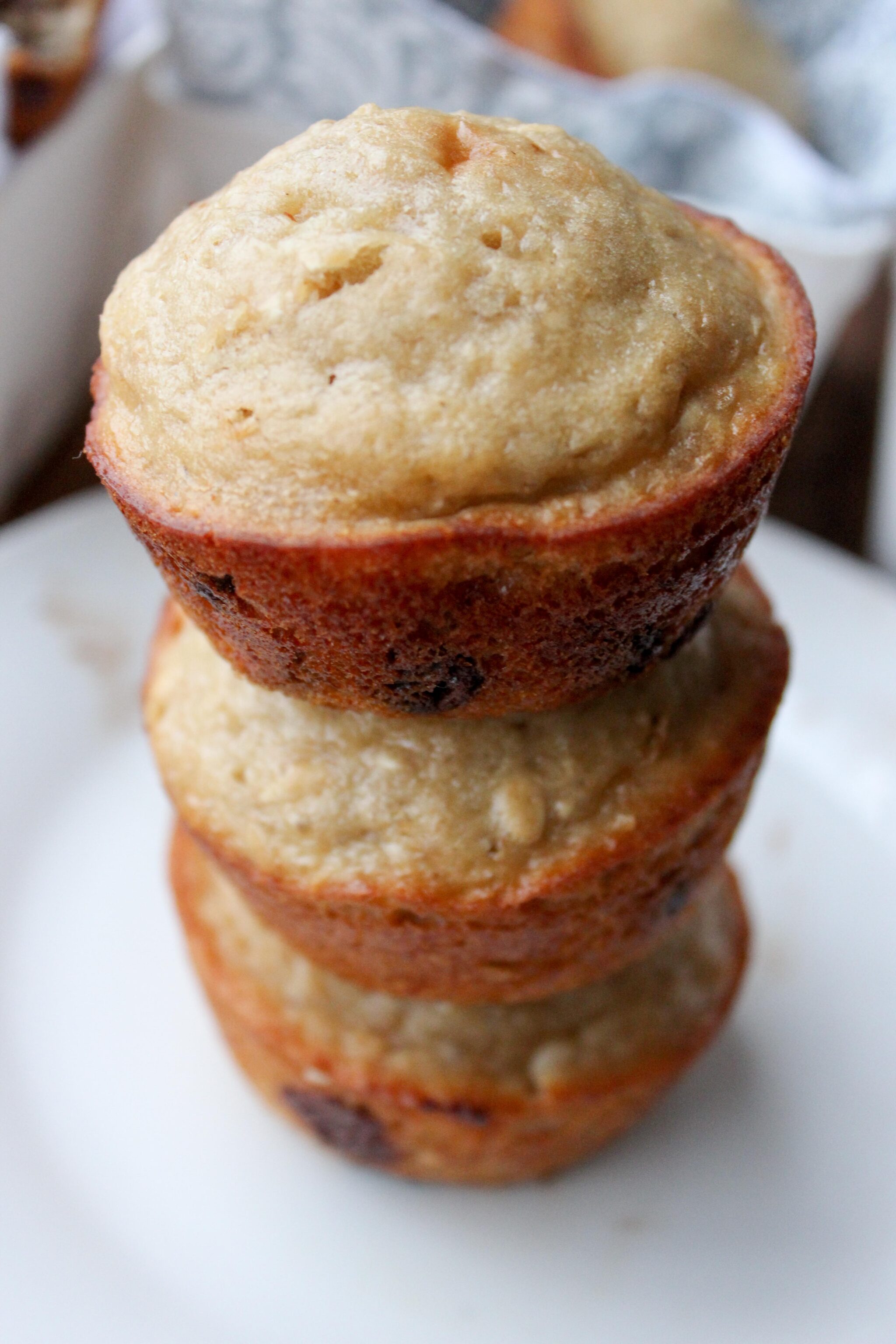 healthy-oatmeal-chocolate-chip-muffins